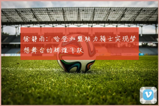 徐静雨：哈登加盟助力骑士实现梦想舞台的辉煌飞跃